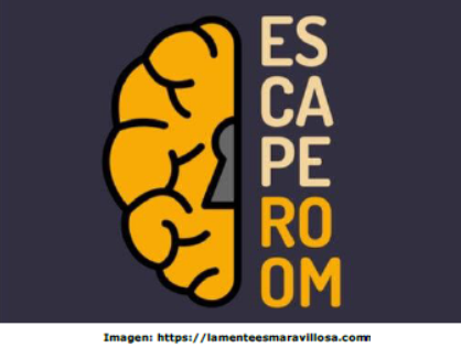 imagen1